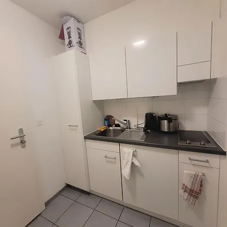 Apartment Apartamento En Lausanna *