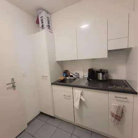 Apartamento En Lausanna Lausanne